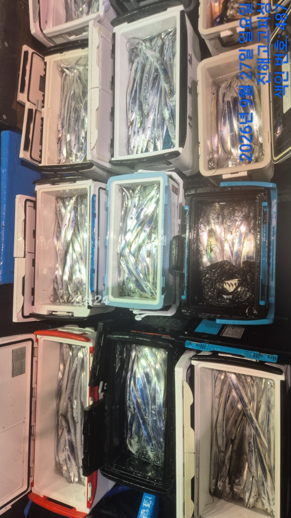 74080.jpg