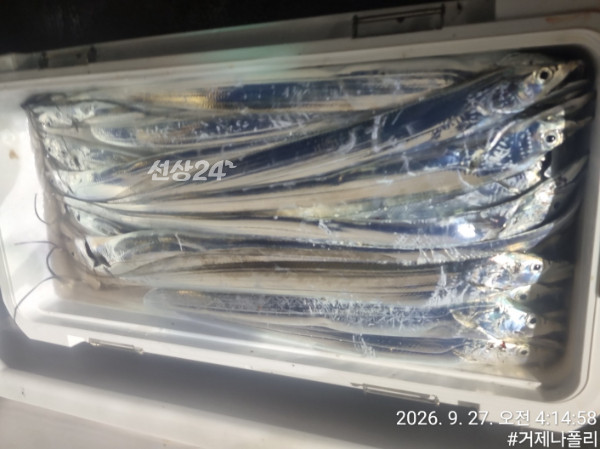 KakaoTalk_20260927_141821585.jpg