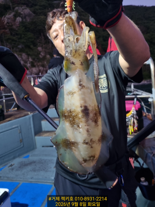 a9b70a9b-44a4-40e9-b7ca-3bcaf528db05-1_all_24381.jpg