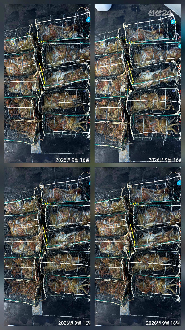 1000158599.jpg