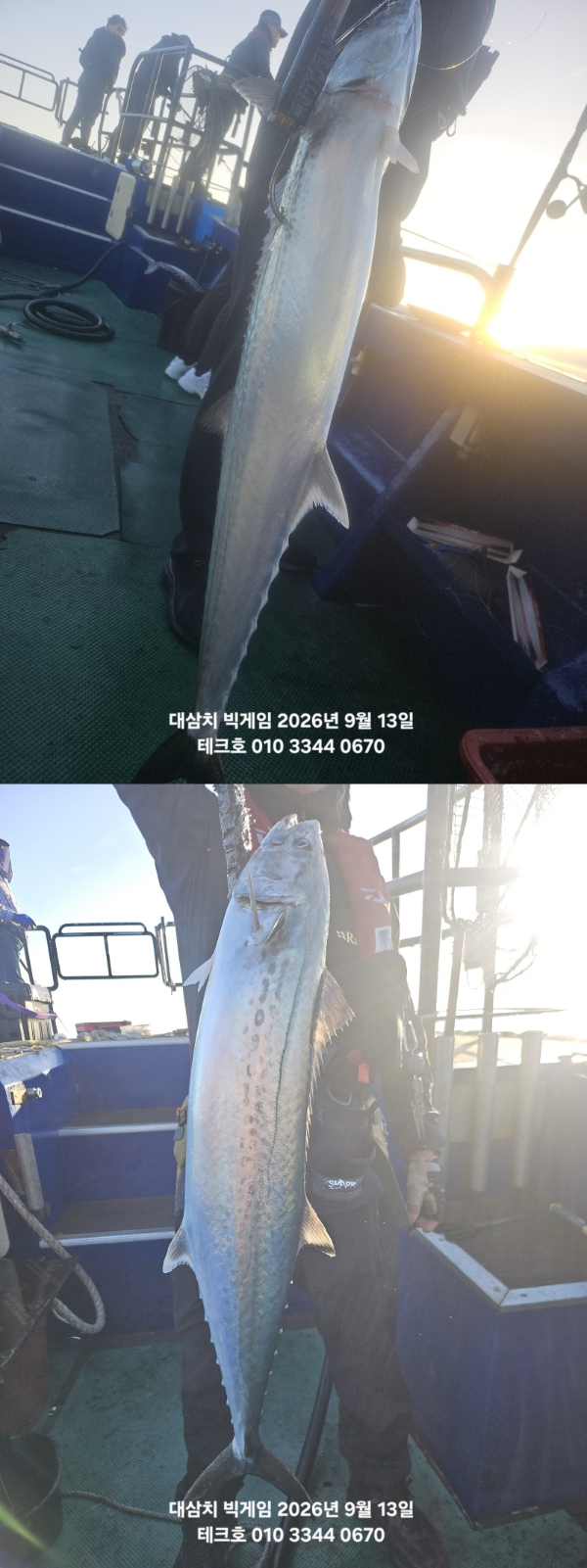 KakaoTalk_20260913_082428754_08-vert.jpg