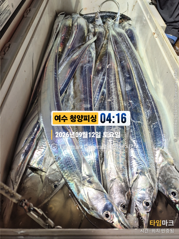 2026-09-12 04.16.49__(제목-여수 청양피싱).jpg