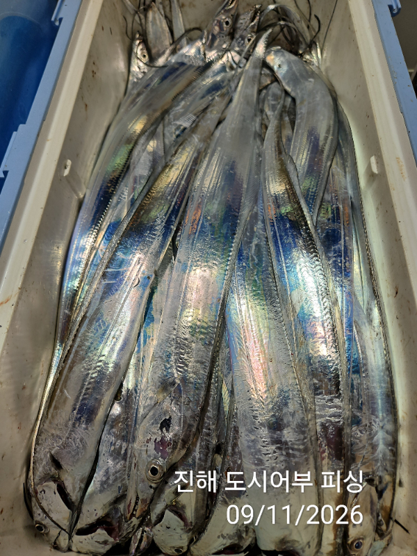 KakaoTalk_20260911_050759490_13.jpg