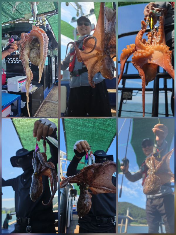 62647.jpg