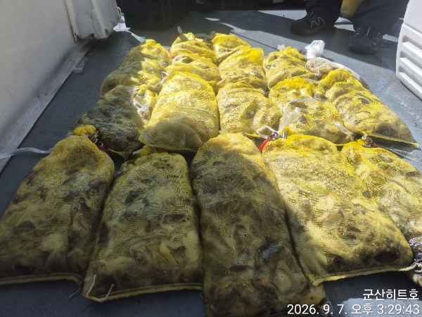 KakaoTalk_20260907_171513214_07.jpg