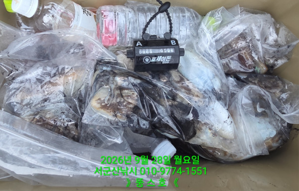 군산 선상낚시, 바다낚시 출조 전문 ☆서군산낚시☆_사진_20260928_1.jpg
