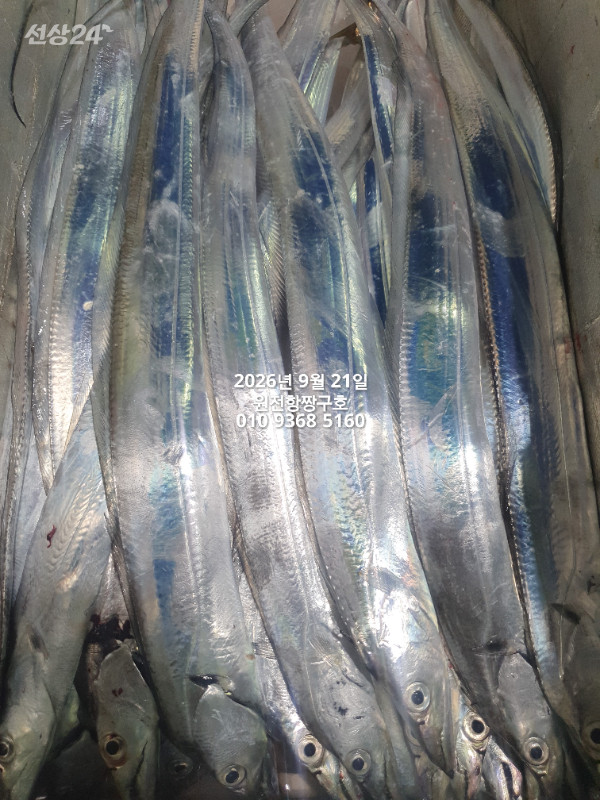 KakaoTalk_20260921_042933087_22.jpg