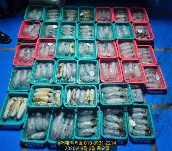 a9b70a9b-44a4-40e9-b7ca-3bcaf528db05-1_all_24314.jpg