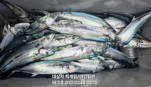 KakaoTalk_20260928_094700590_01.jpg