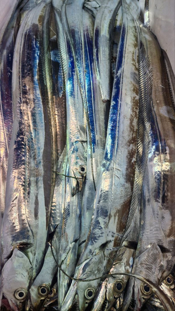 82415.jpg
