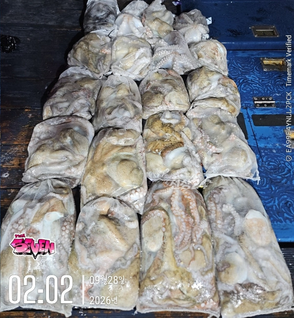 c_70gUd018svc9pt4f9xiu726_82sd02.jpg