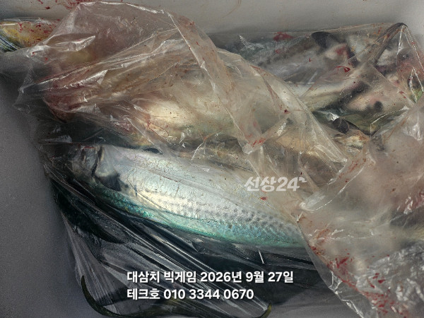 KakaoTalk_20260927_125002672_03.jpg