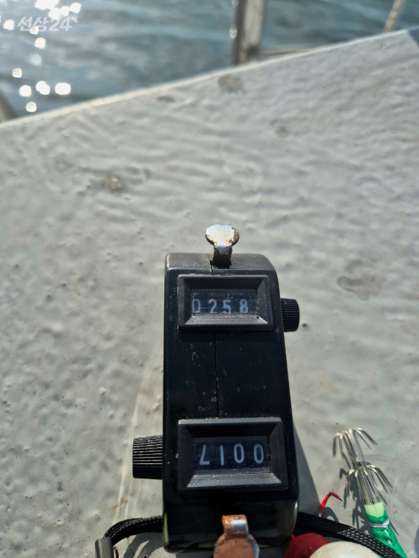 1789812229294.jpg
