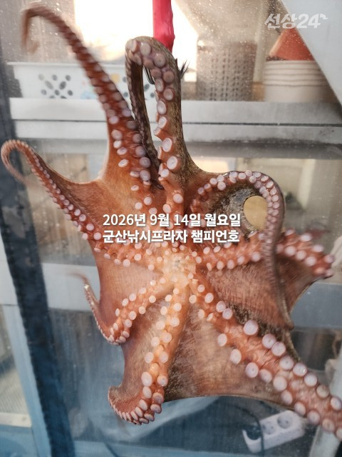 KakaoTalk_20260914_073812826_07.jpg