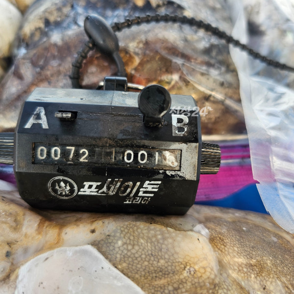 1000061031.jpg