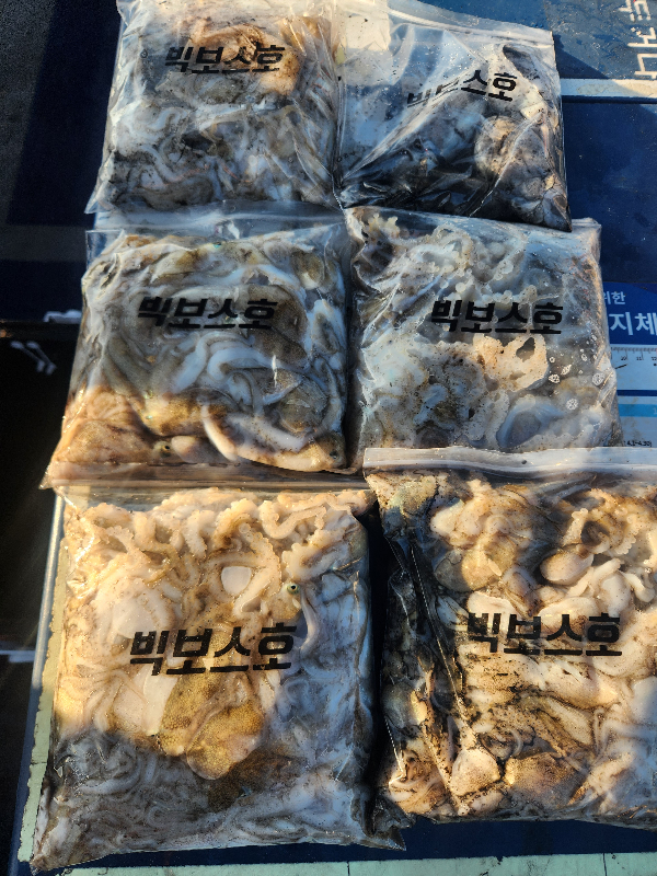 KakaoTalk_20260908_201242730_02.jpg