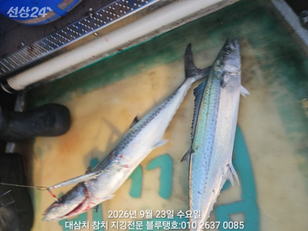 20260923_070114.jpg