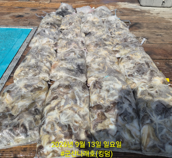 KakaoTalk_20260913_150258740_01.jpg