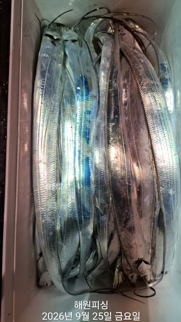 1000036959.jpg