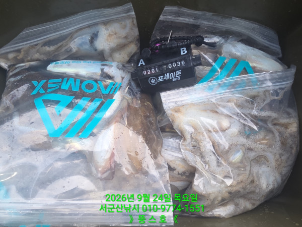 군산 선상낚시, 바다낚시 출조 전문 ☆서군산낚시☆_사진_20260924_3.jpg