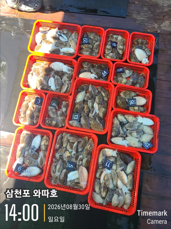 14027.jpg