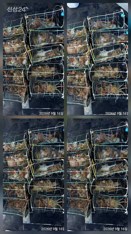 1000158819.jpg