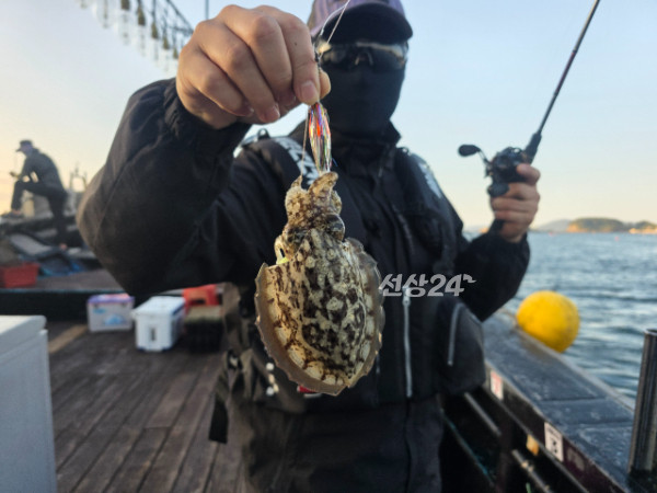 1000046055.jpg