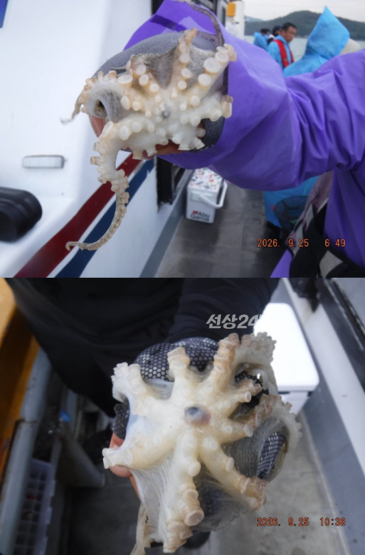 스크린샷 2026-09-26 105750.png
