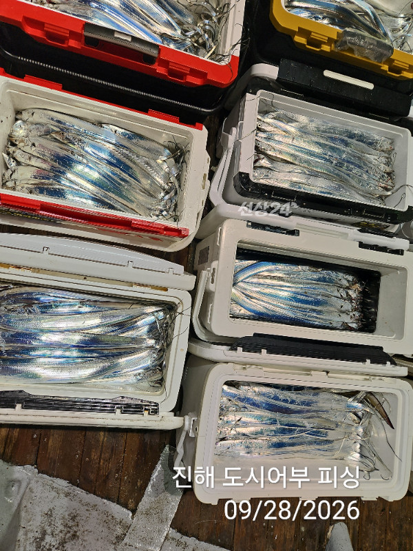 KakaoTalk_20260928_054654622_15.jpg