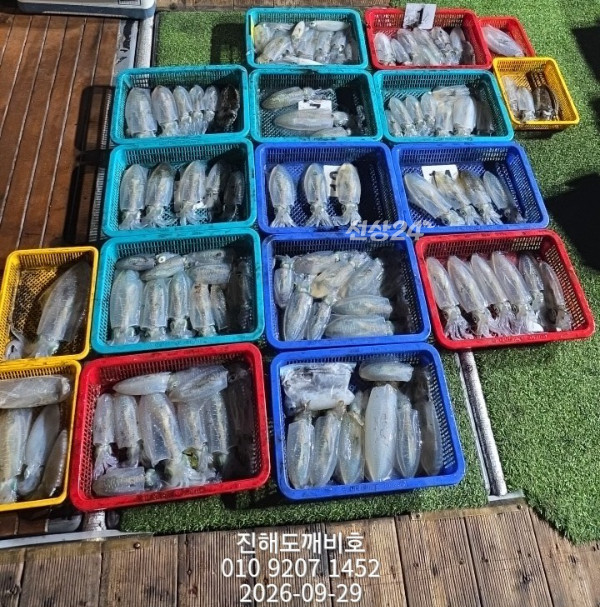 8710.jpg