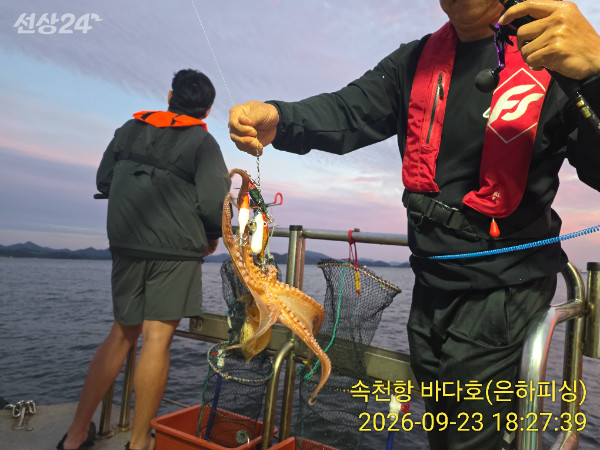 IMG_20260923_182739.jpg