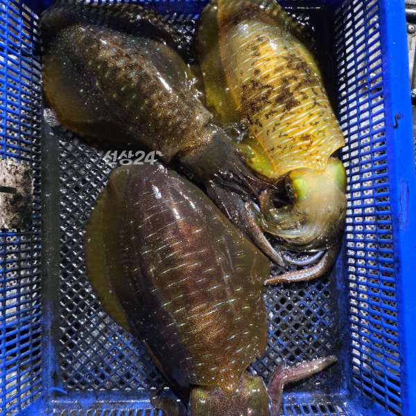 1000042858.jpg