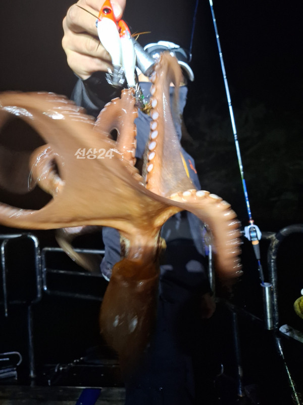 1000021239.jpg