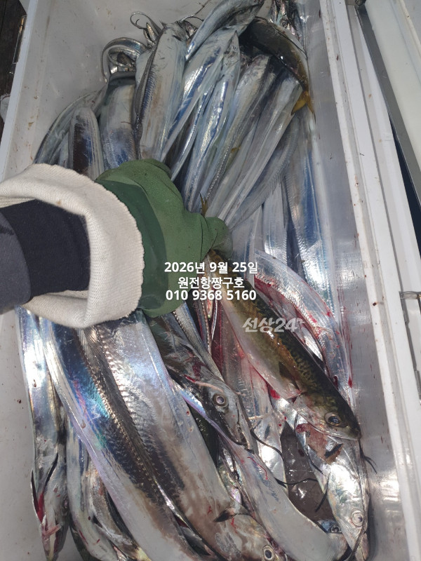 KakaoTalk_20260925_051858452_03.jpg