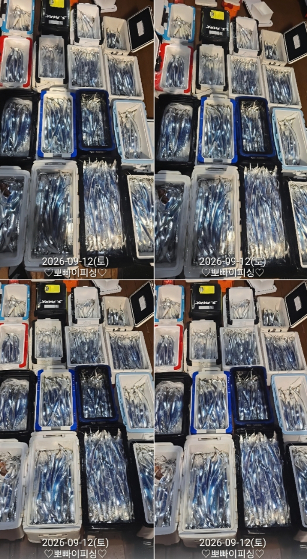 1000115451.jpg