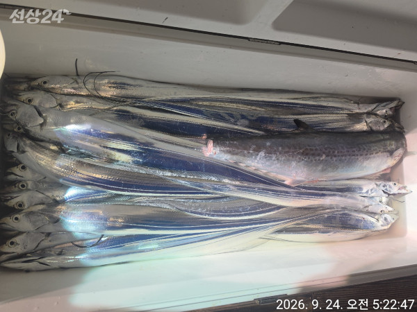 2CBC8156-AC38-4F4D-A275-A6EC41057B13.jpeg