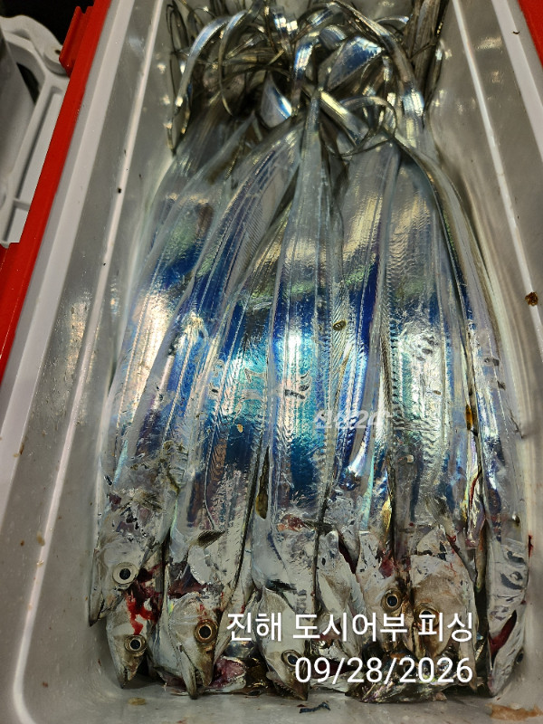 KakaoTalk_20260928_054654622_18.jpg