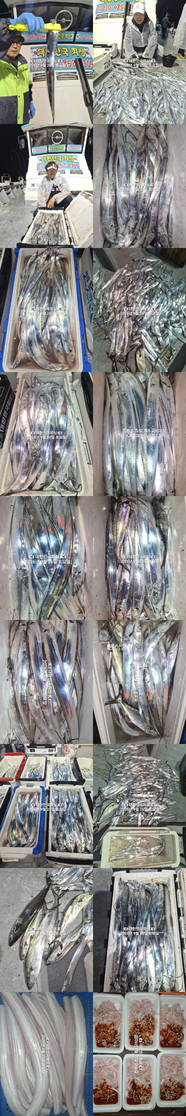 갈치1.jpg