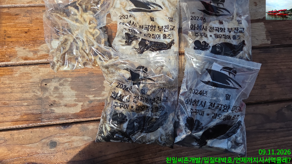 1000033393.jpg