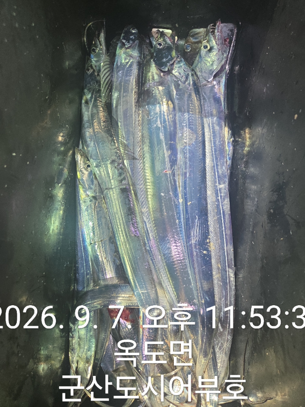 1000019935.jpg