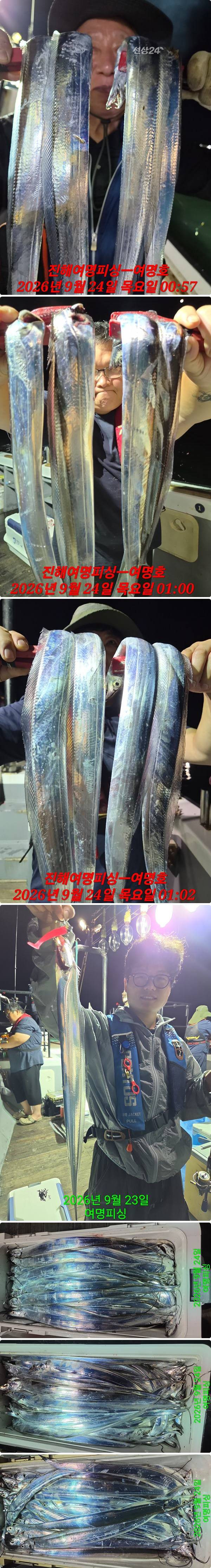 24일갈치중.jpg