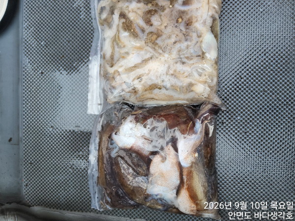 KakaoTalk_20260910_132215125.jpg