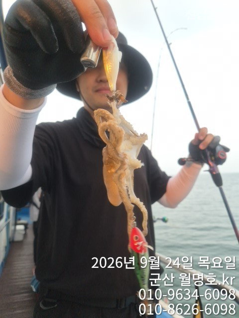 17039.jpg