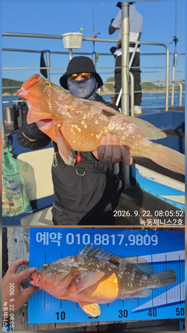 50352.jpg