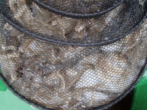 P9010036.JPG