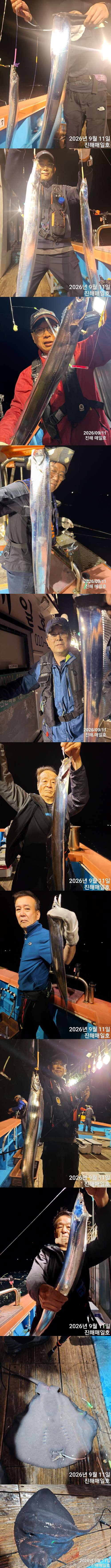 갈치1.jpg