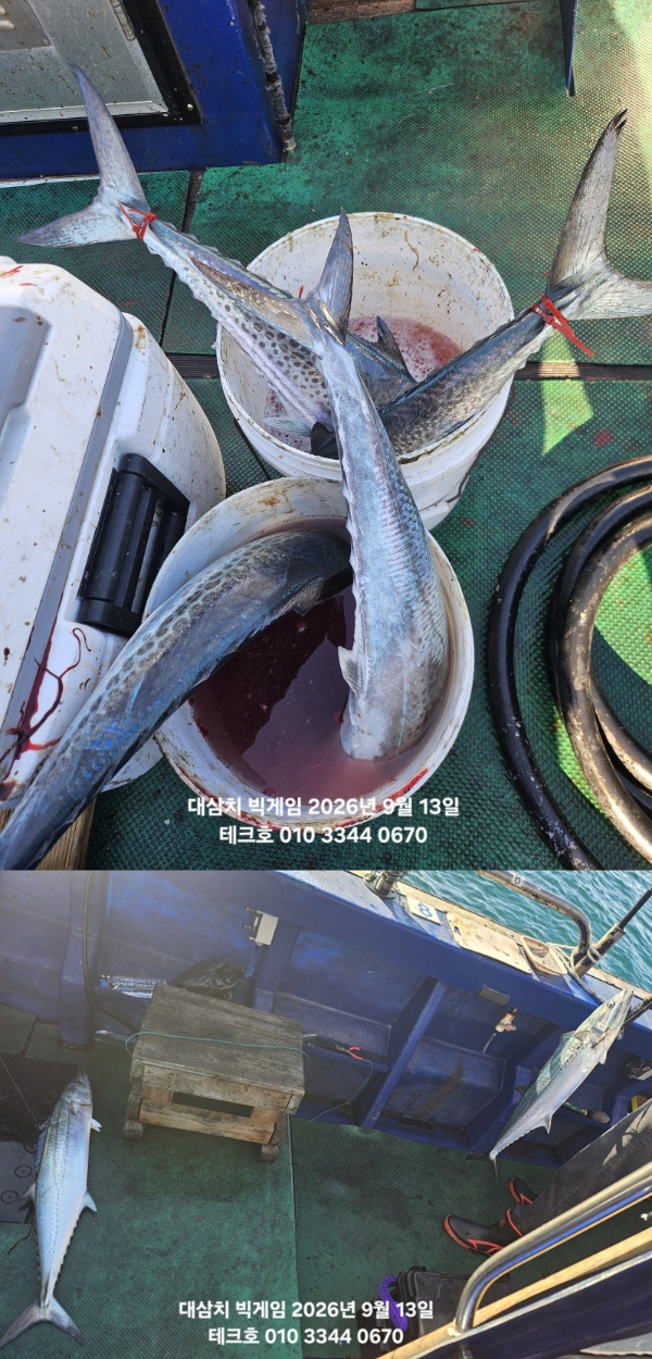 KakaoTalk_20260913_082428754-vert.jpg