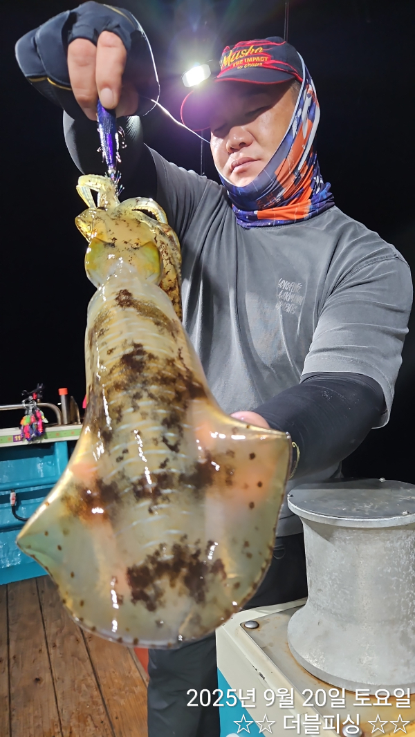49470.jpg