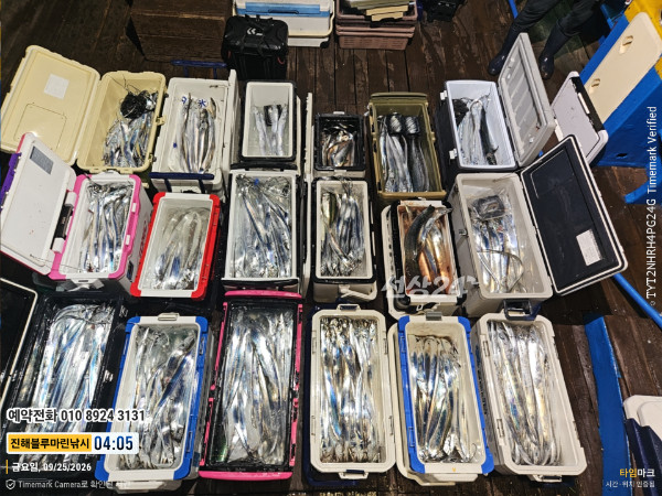 20260925_040534_Japan_제목-진해블루마린낚시_글꼴-예약전화 010 8924 3131.jpg