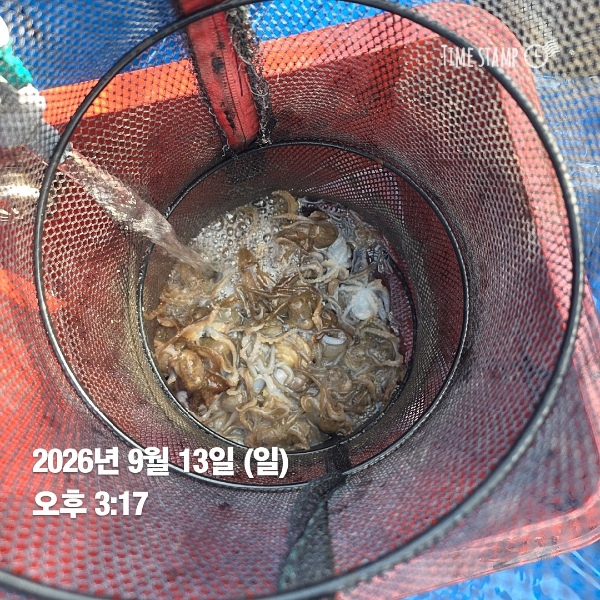 KakaoTalk_20260913_171319208_02.jpg